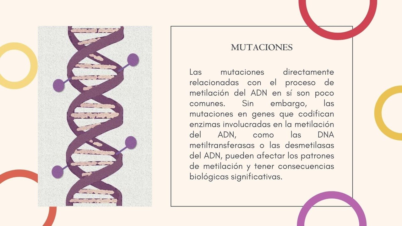 adn y metilacion de genes en laboratorio