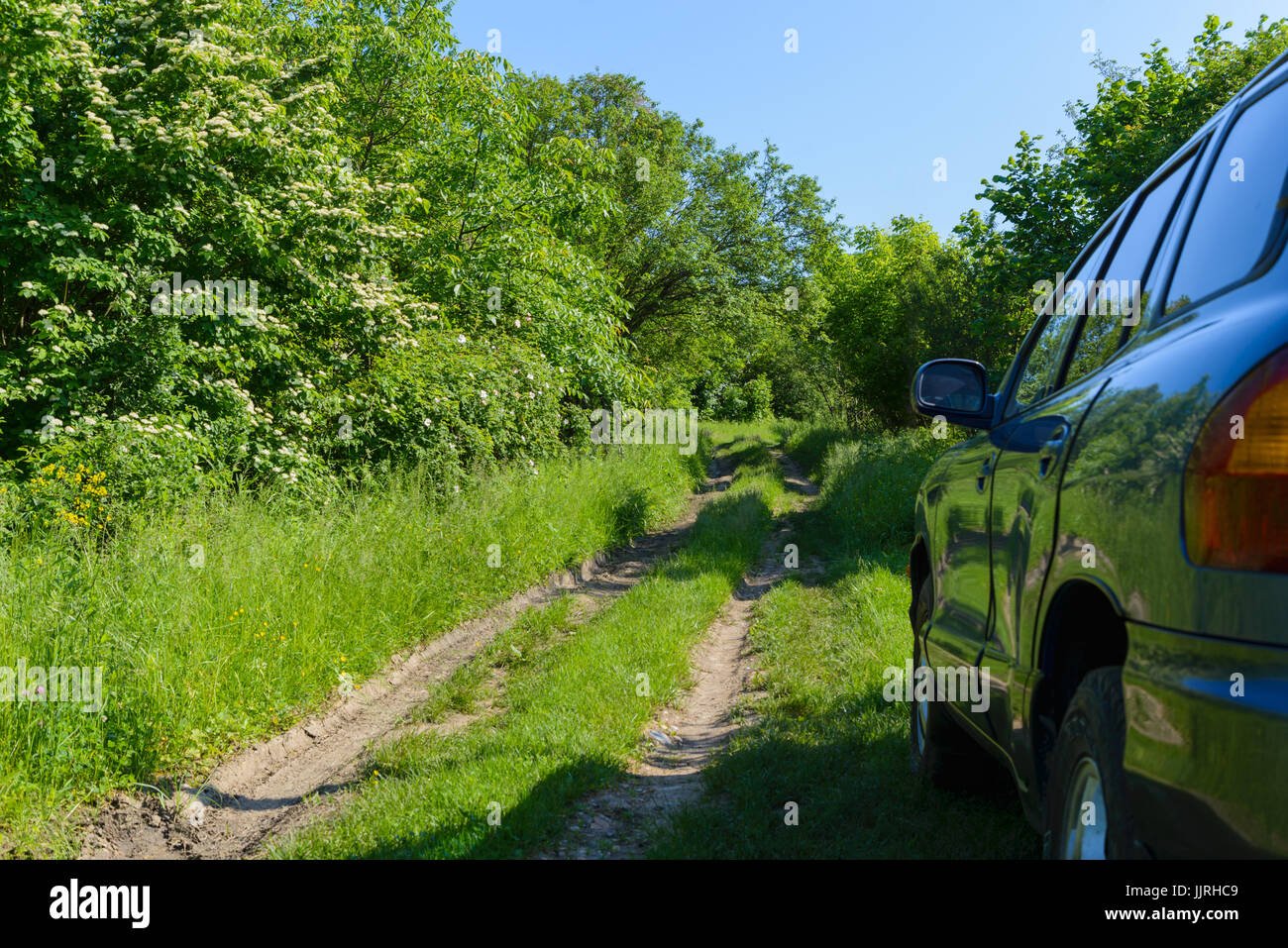 auto en carretera rodeada de naturaleza