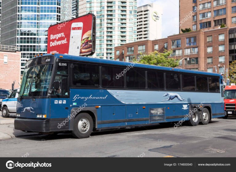 Greyhound Bus Lines Phone Number Information and Support