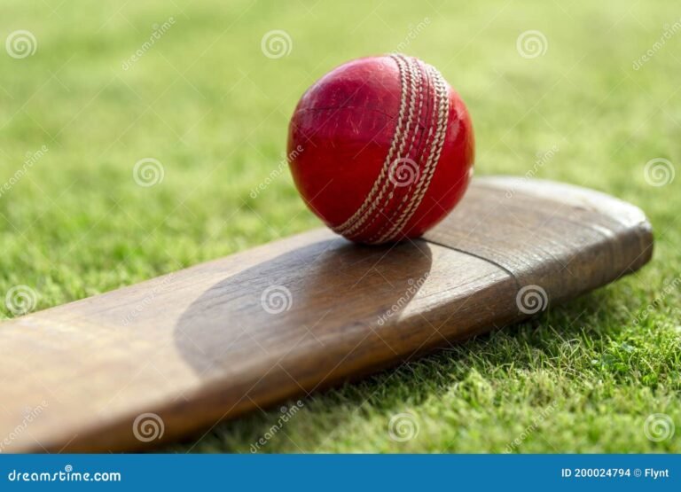 ¿Cuál es el número de cricket? Guía para principiantes