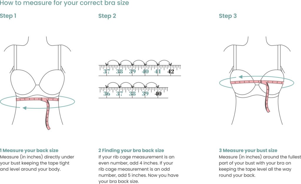 bra fitting guide how to measure properly