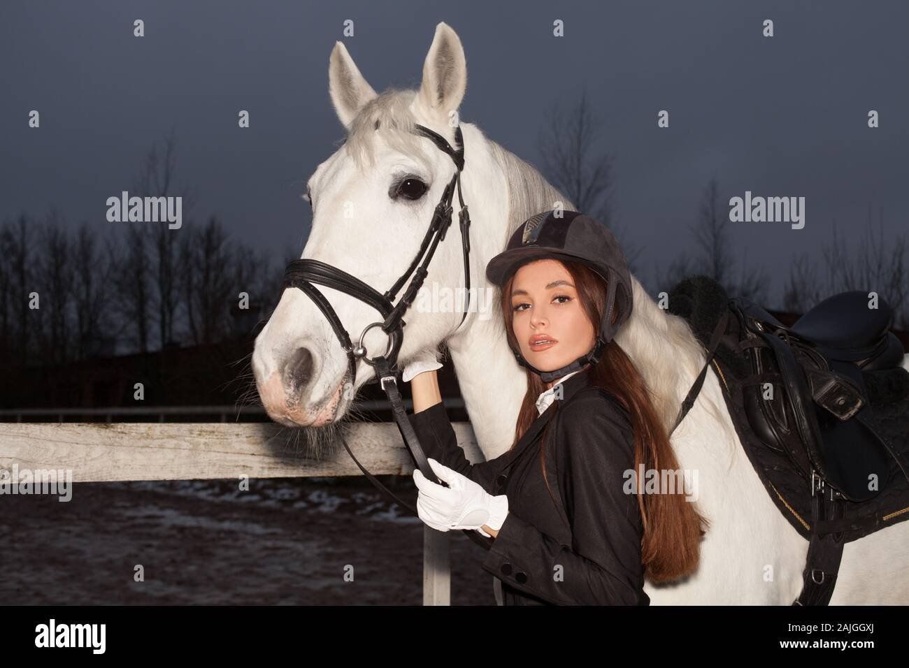caballo blanco con equipamiento ecuestre elegante