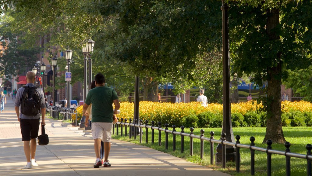 calle principal de cedar rapids iowa ee uu