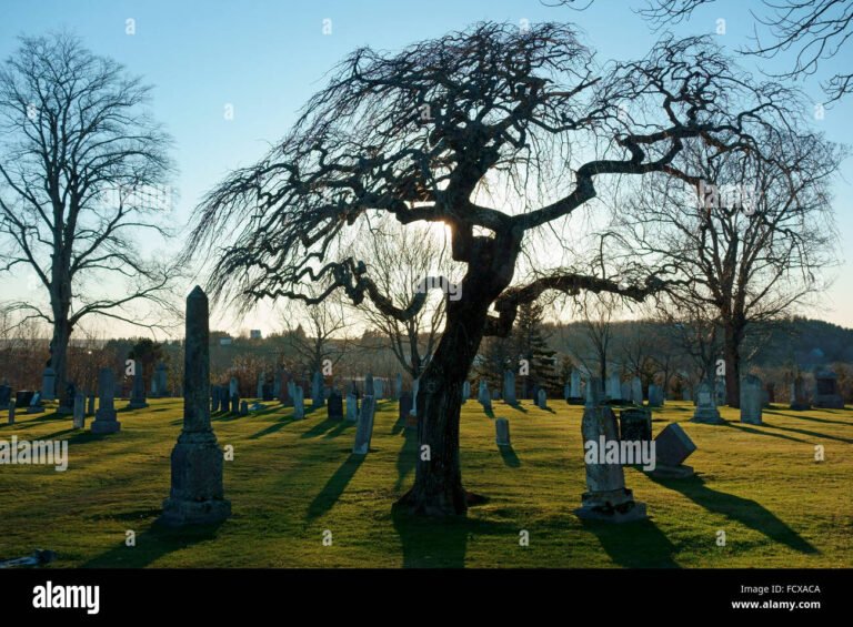 Find a Grave by Name: Locate Loved Ones Easily