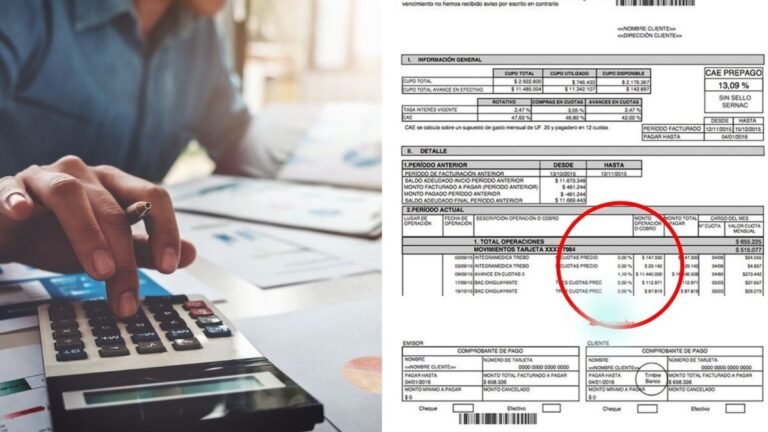 Shein US Services LLC Charge on Credit Card Explained