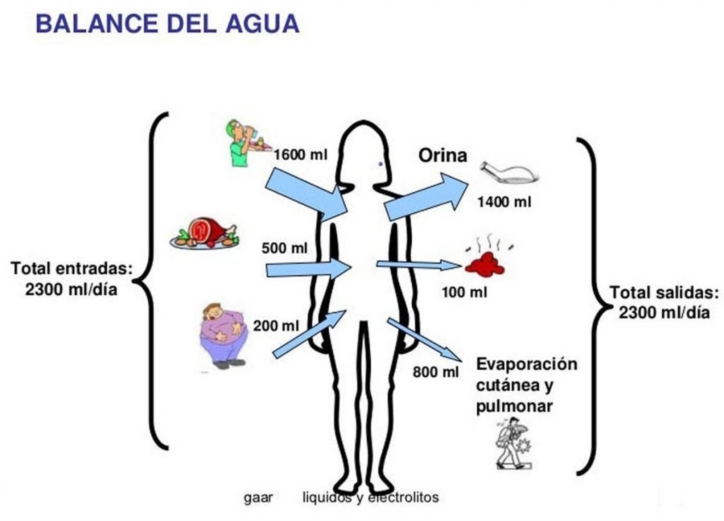 diagrama de equilibrio de fluidos corporales