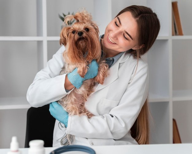 examen veterinario a una mascota feliz