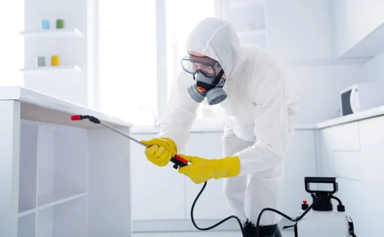 Simply the Best Pest Control Services for Your Home