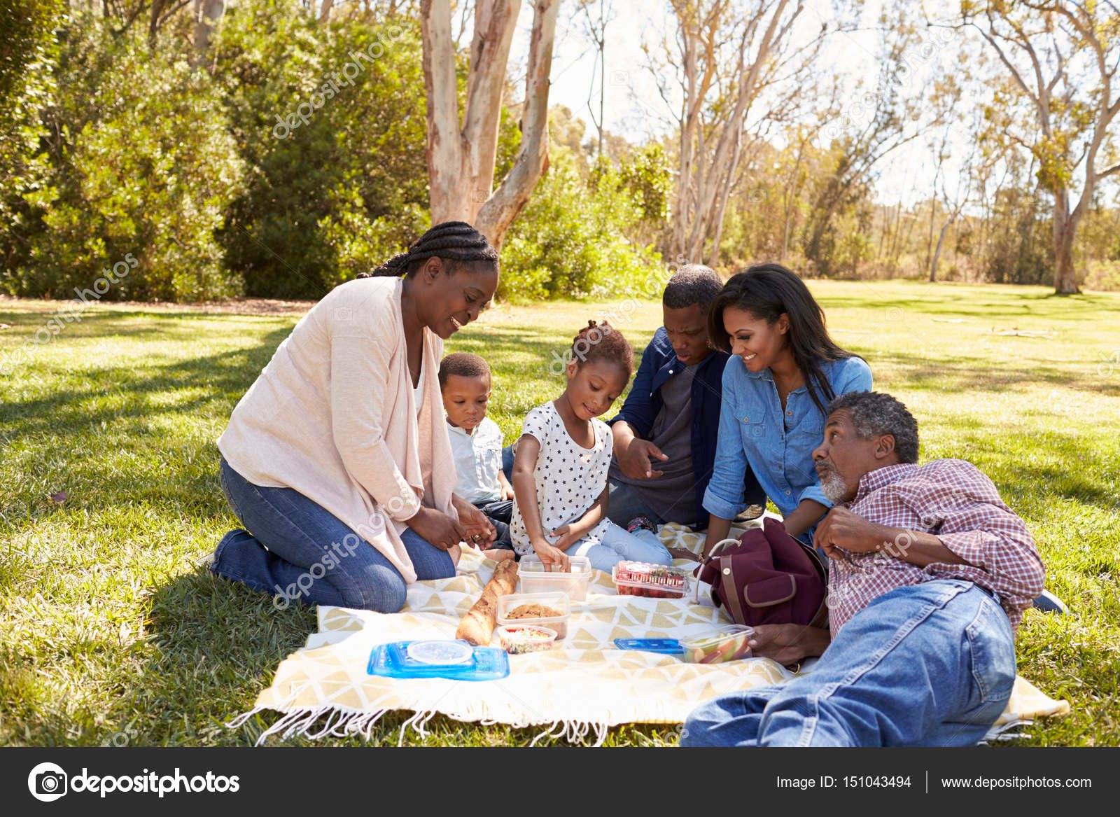 familias disfrutando de un picnic en el parque