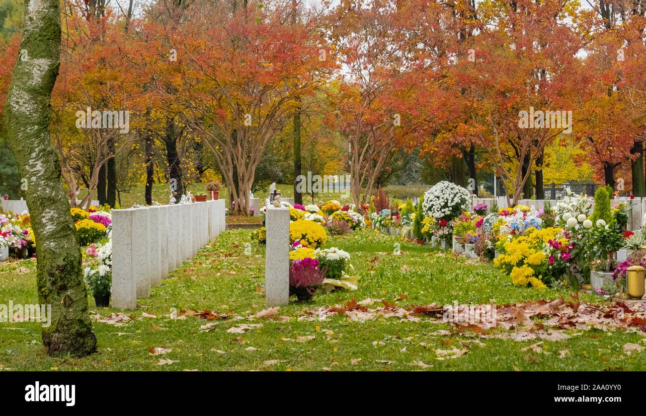 flores en un cementerio en otono