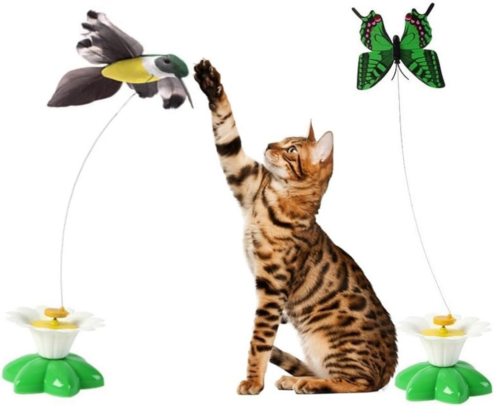 gato jugando con juguete interactivo de pajaro