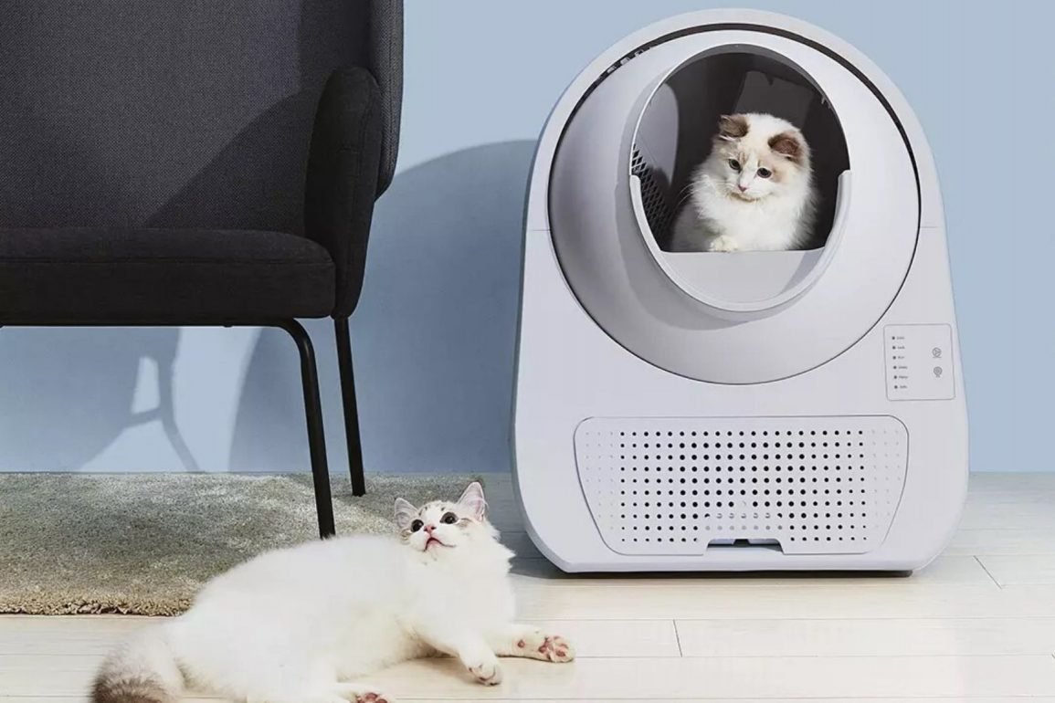 gato usando caja de arena automatica