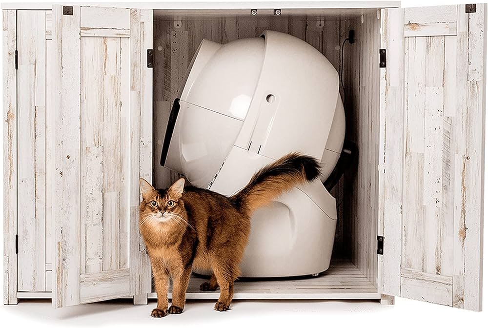 gato usando la pretty litter en litter robot