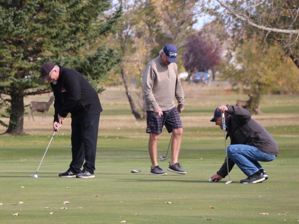 golfers enjoying a wide selection of clubs