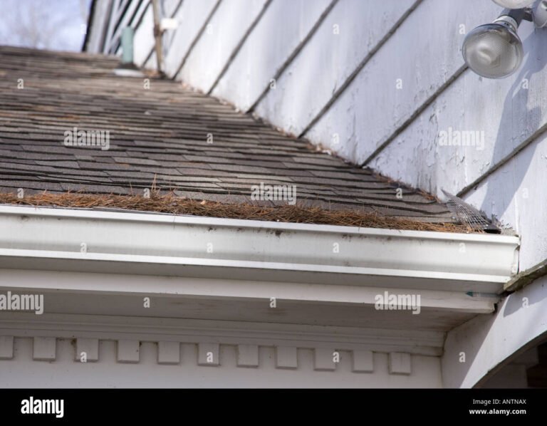 Leaf Filter Gutter Protection Cost: What to Expect