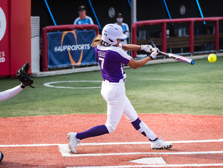 Smash It Sports Softball Bats: Top Choices for 2023