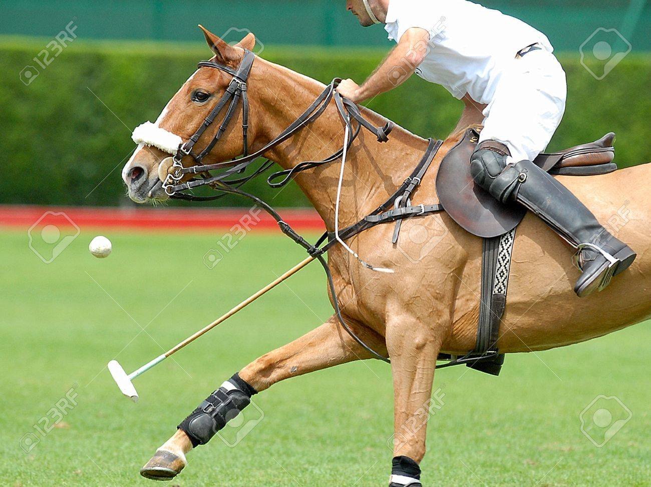 jugadores de polo en accion elegante