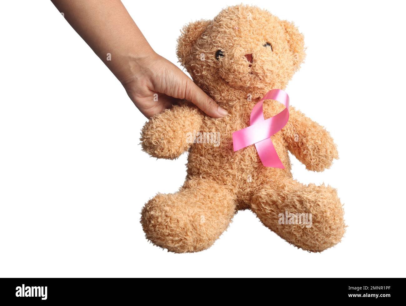 manos sosteniendo un peluche de animal