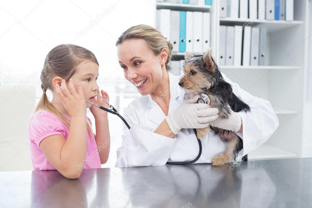mascota siendo examinada por un veterinario 1