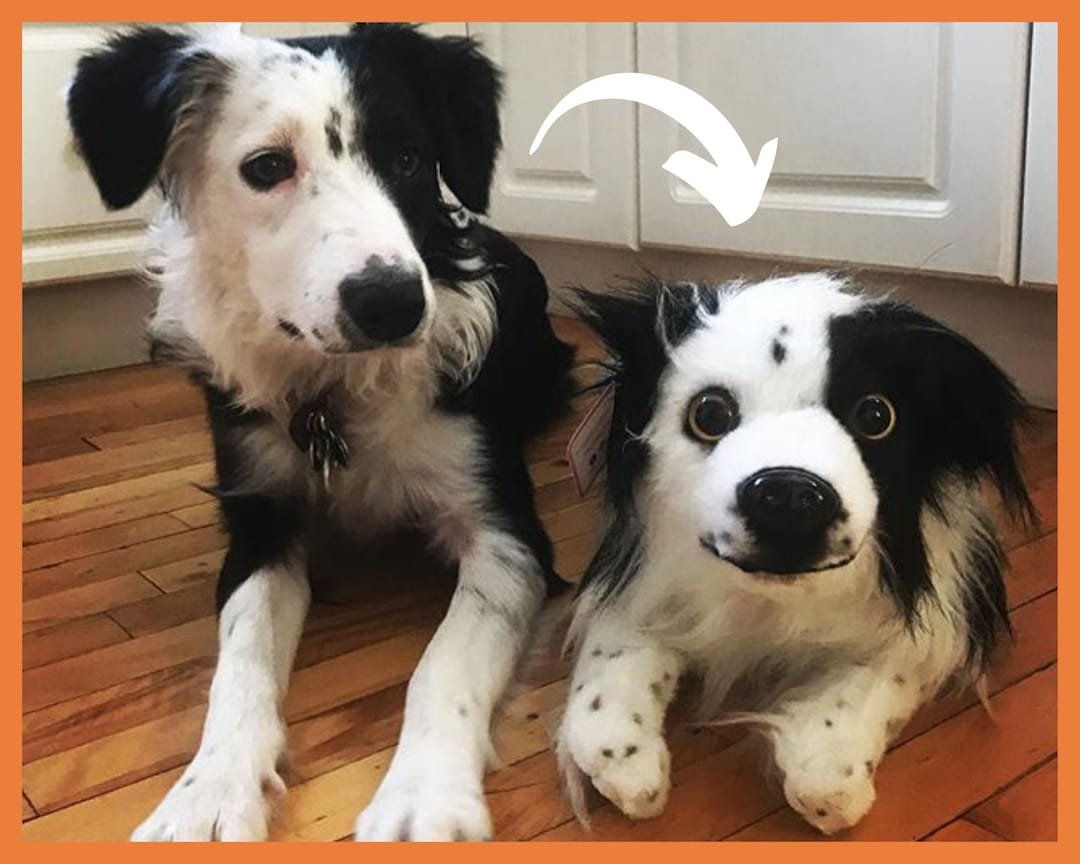 muneco de peluche personalizado de mascota