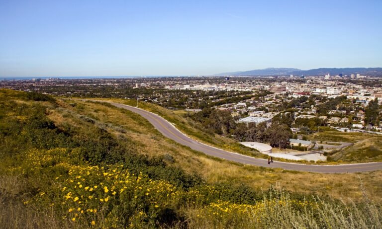 American Tire Depot Culver City: Quality Tires and Services