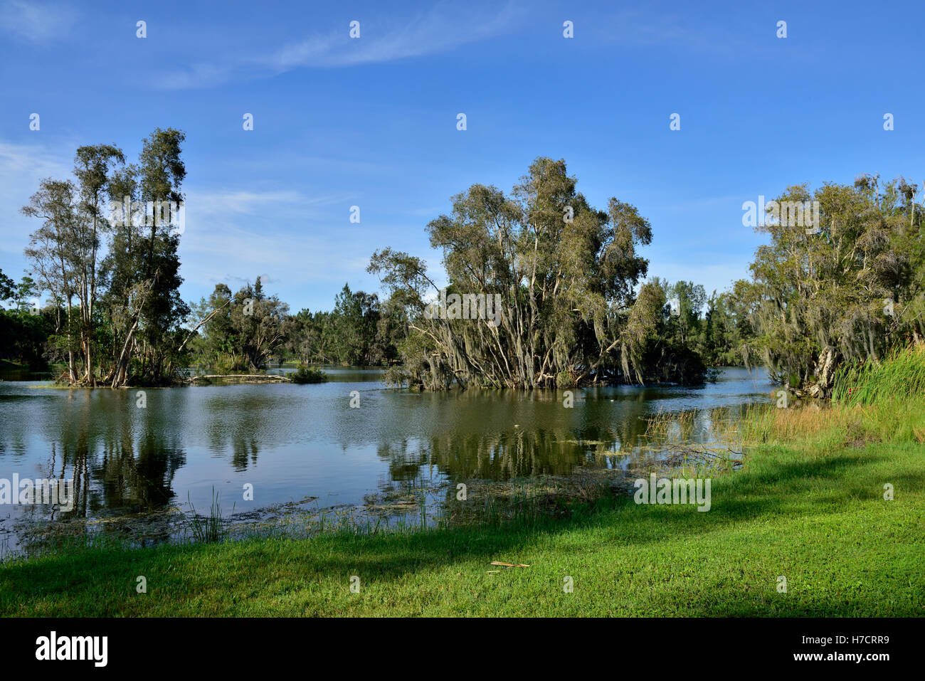 paisaje de parque natural en fort myers