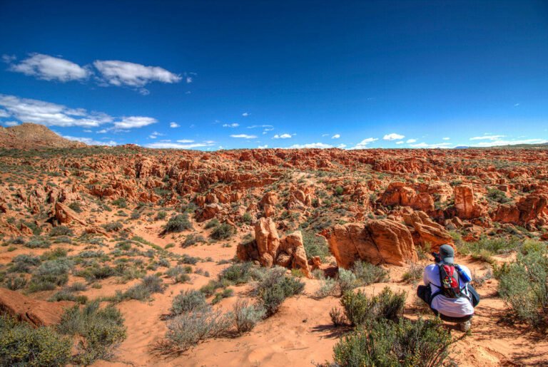 Rocky Mountain ATV MC St George: Off-Road Adventure Awaits