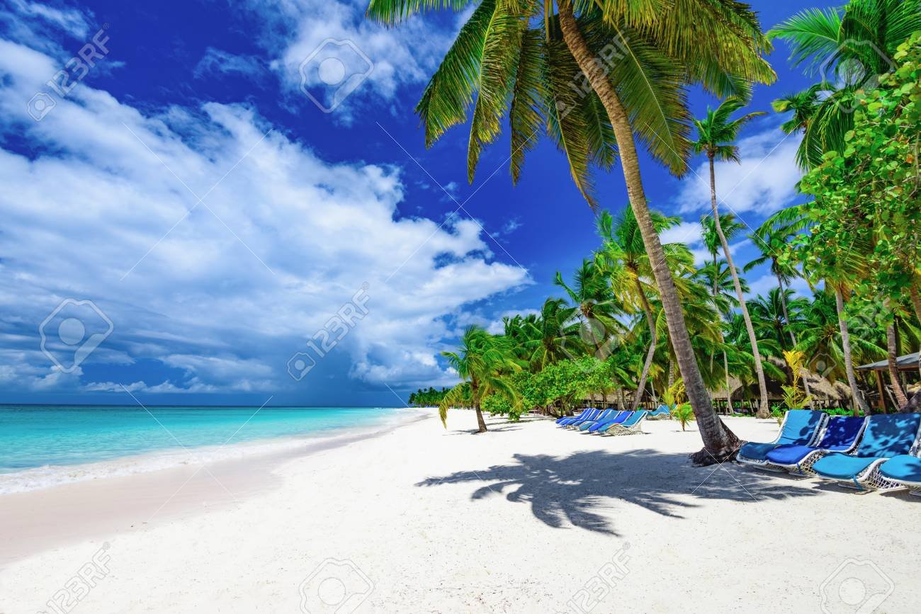 palmeras en una playa paradisiaca
