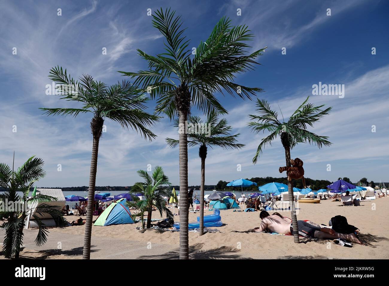 palmeras y playa en medio de berlin