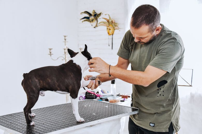 perro disfrutando de un corte de unas 1