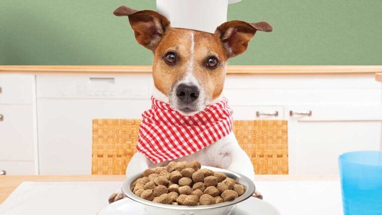 Sundays Air Dried Dog Food: Premium Nutrition for Your Pet