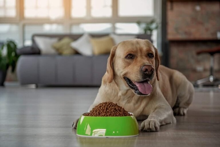 Badlands Ranch Dog Food Coupon Code: Save on Pet Nutrition