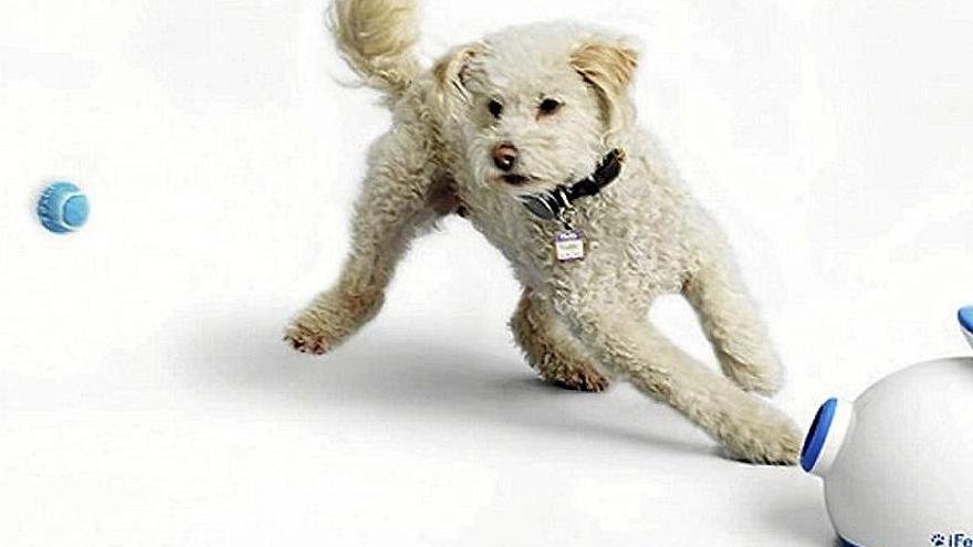 perro interactuando con gadgets tecnologicos modernos