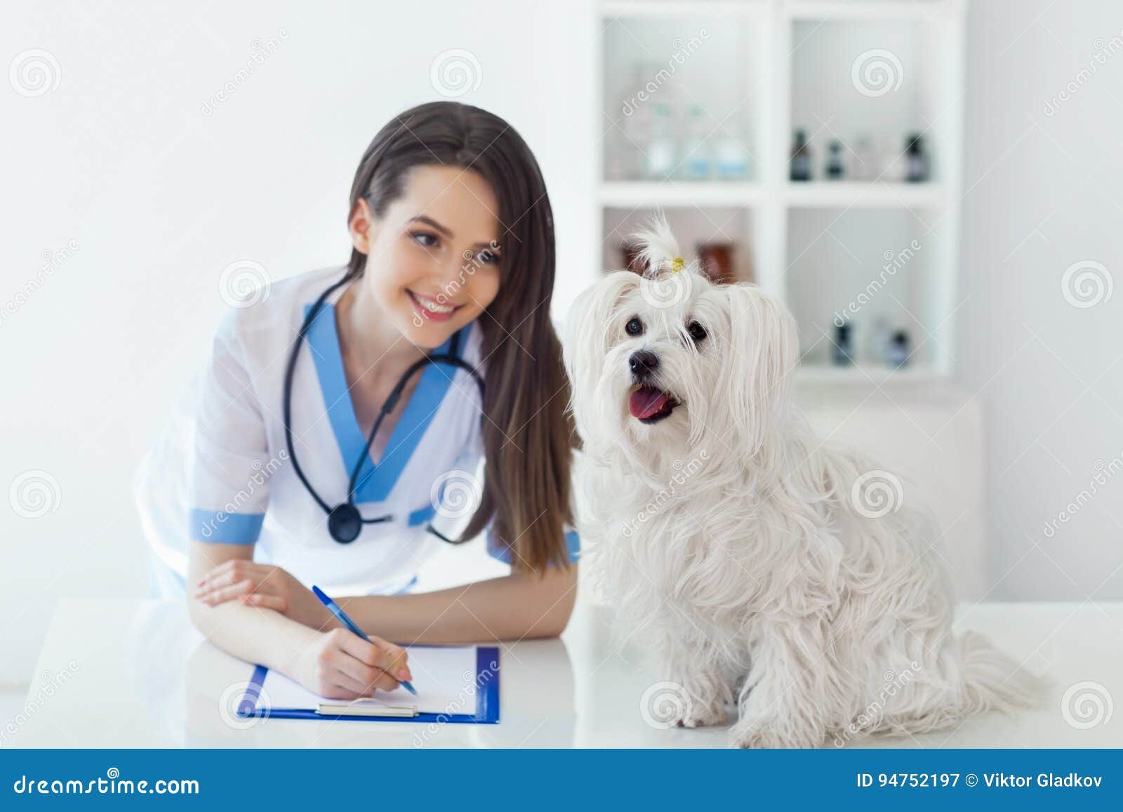 perros felices con seguro medico veterinario