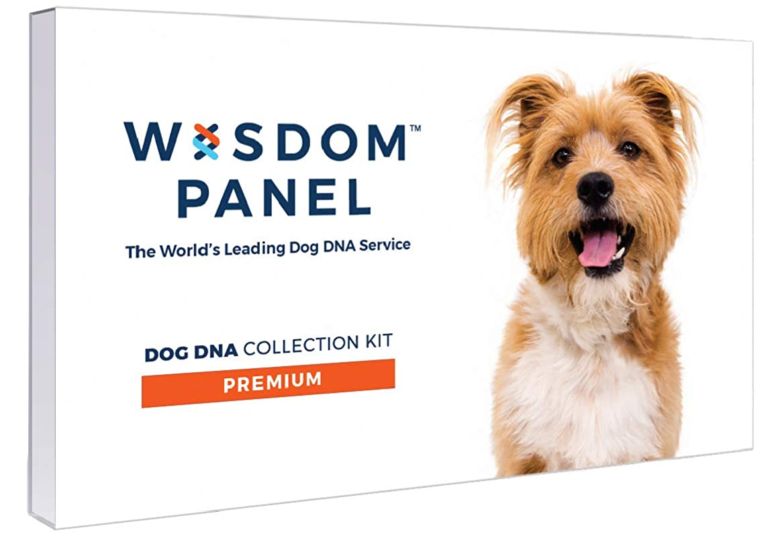 wisdompanel.com/activate to activate your kit
