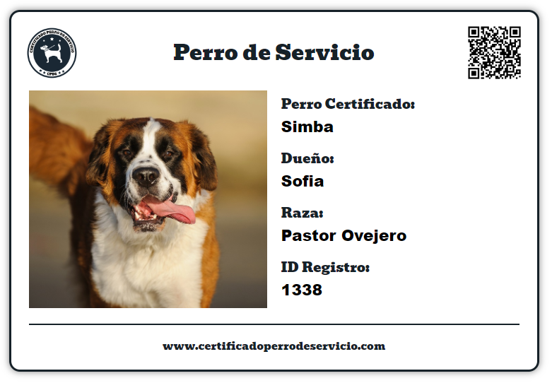 persona con perro de servicio certificado
