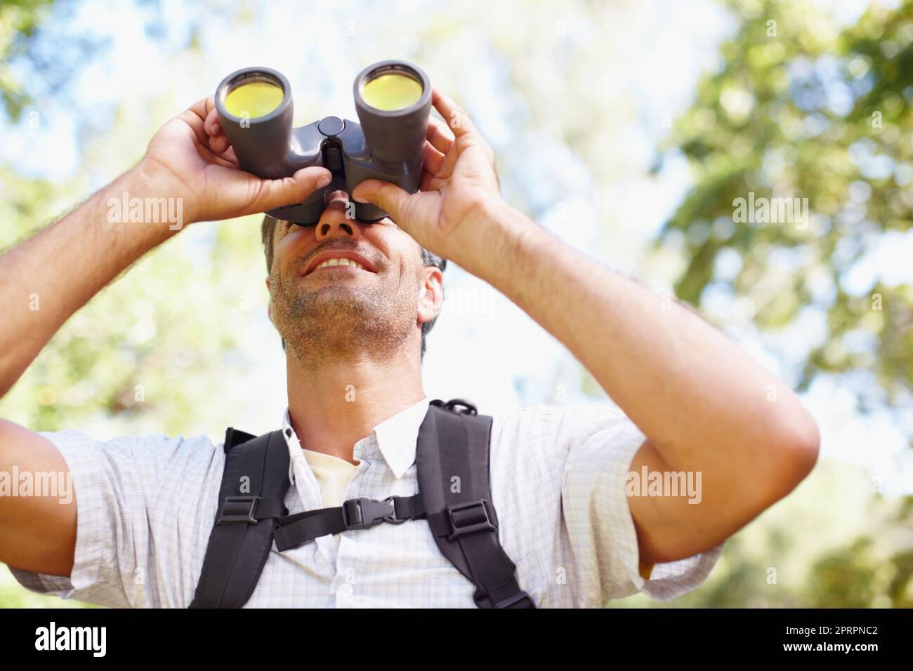 persona mirando resultados de sneak peek