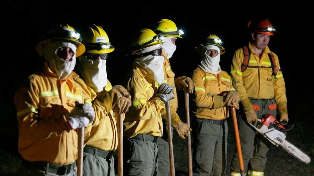 persona trabajando de noche en trupanion