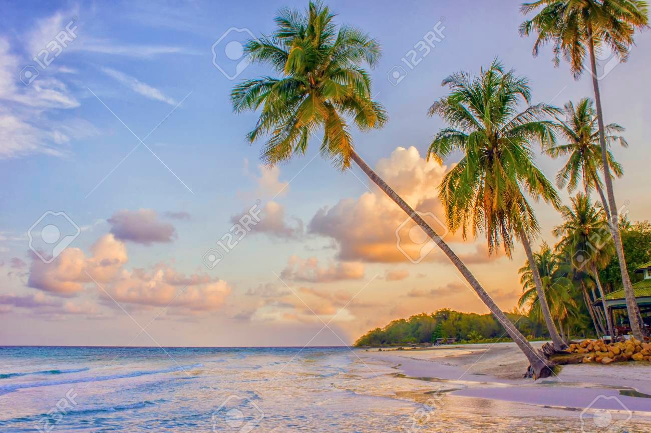 playa paradisiaca al atardecer con palmeras