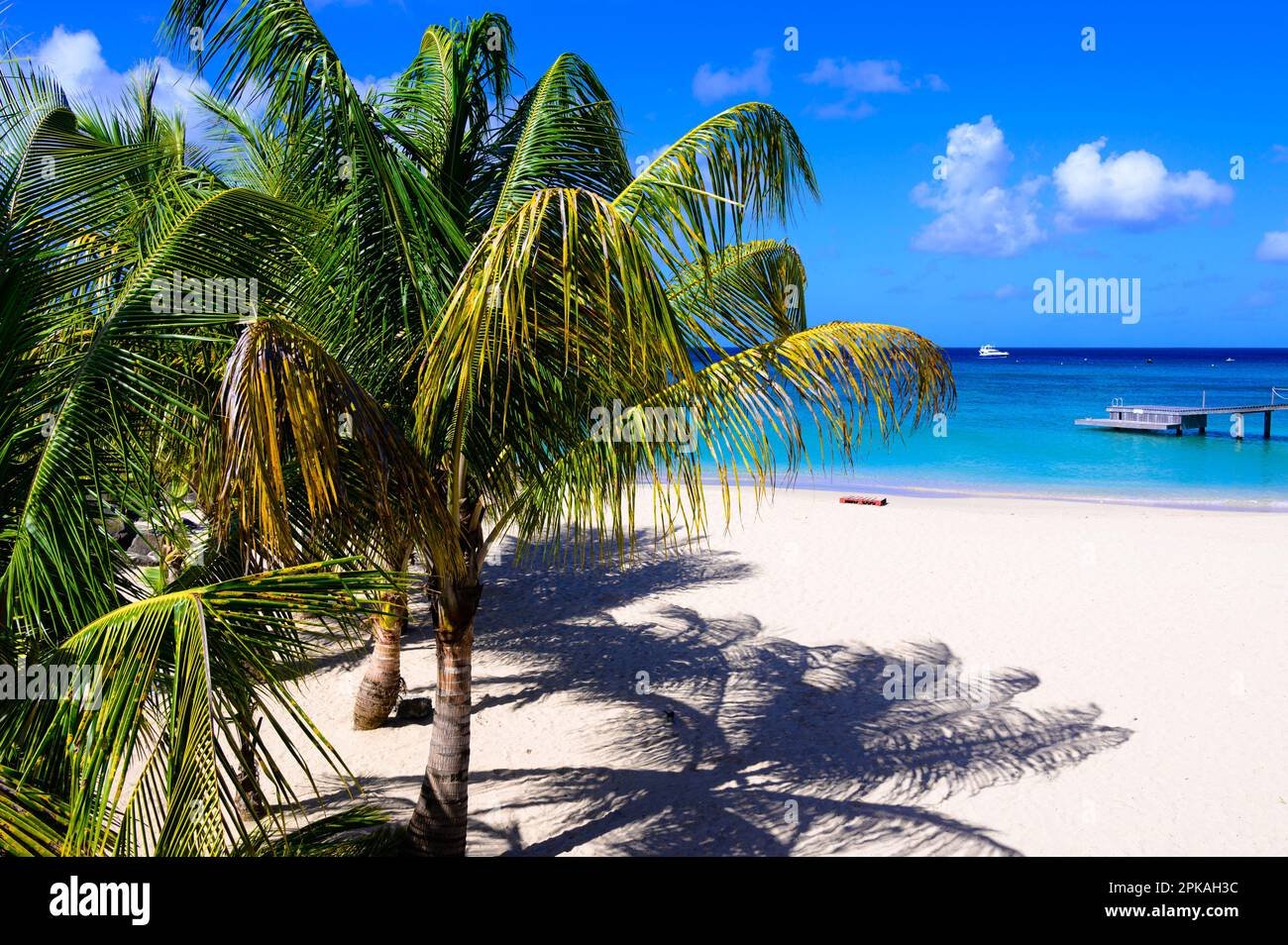 playa paradisiaca con palmeras y mar turquesa