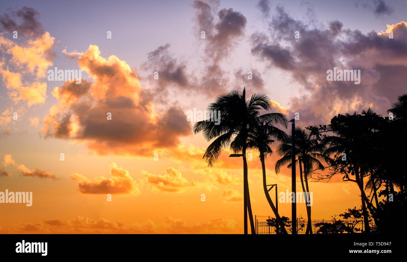 playa paradisiaca en puerto rico al atardecer