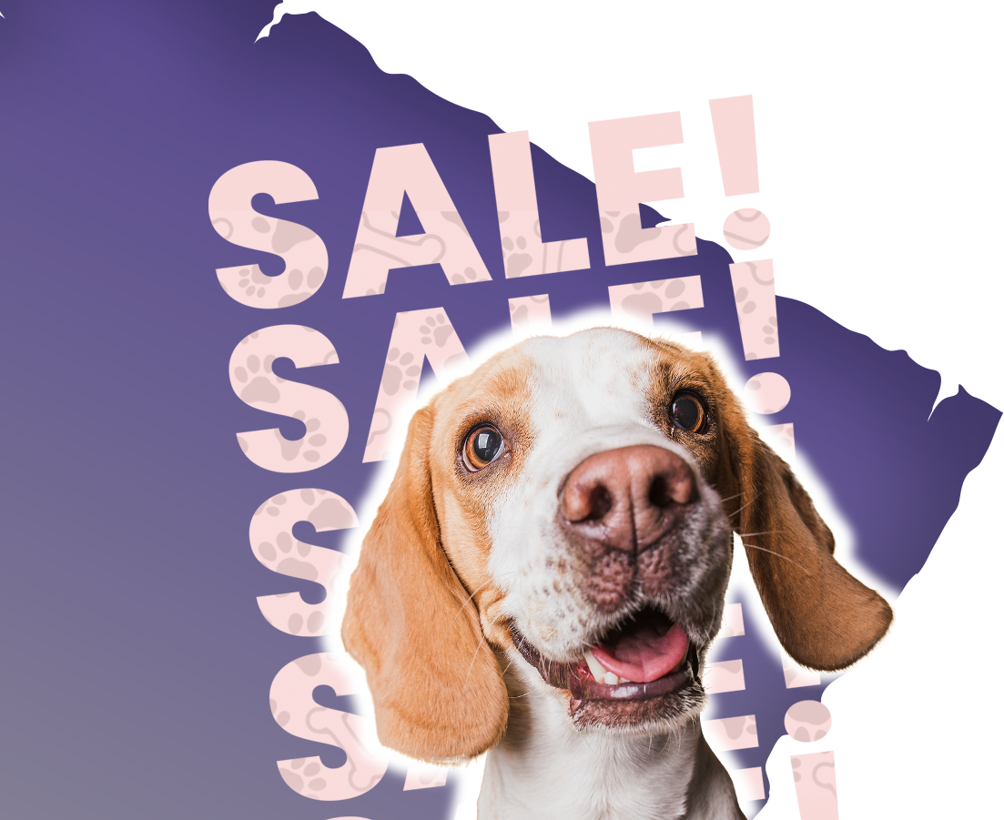 promociones de productos para mascotas en oferta