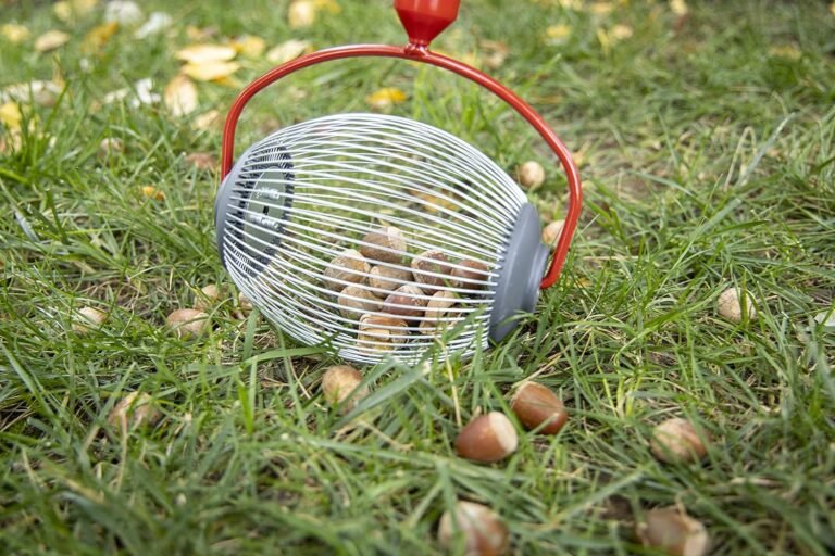 Sweet Gum Ball Picker Upper: Easy Yard Cleanup Tool