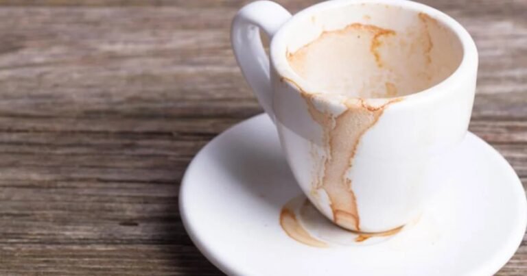 Does Mushroom Coffee Help with Bloating? Exploring the Benefits