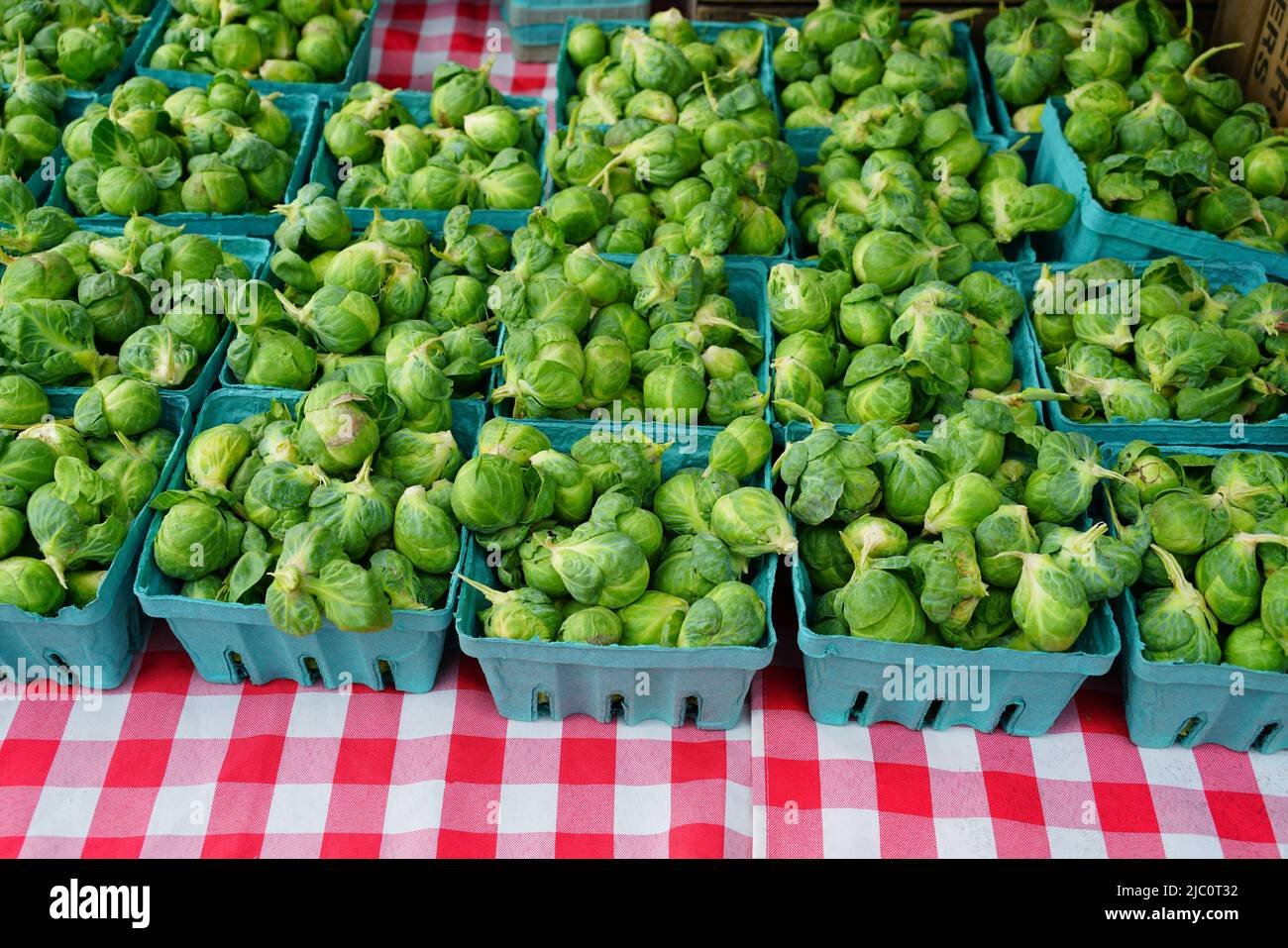 verduras frescas en sprouts farmers market