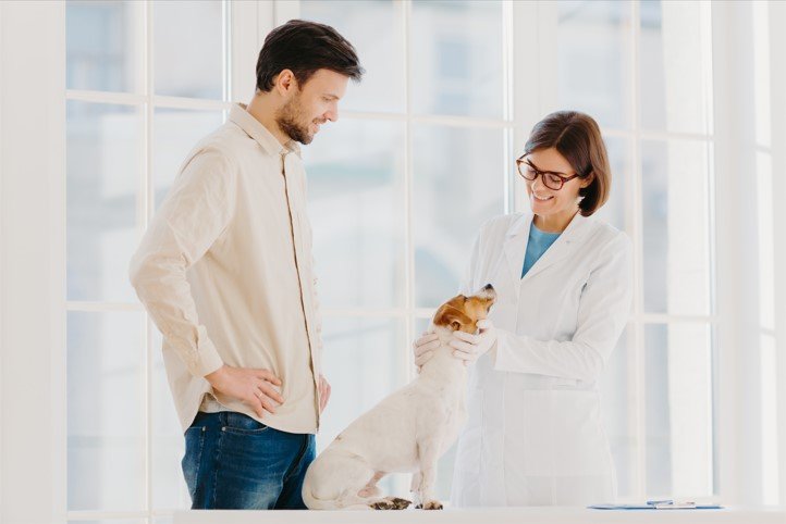 veterinario cuidando a perro feliz en consulta