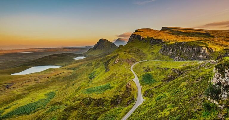 Follow Your Legend Highland Cow: Inspiring Stories